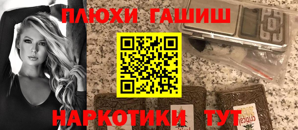 ГАШ Premium Грозный